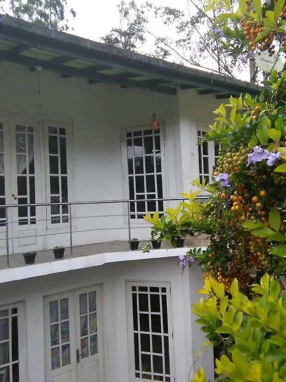 Niwasa House Hotel Hatton