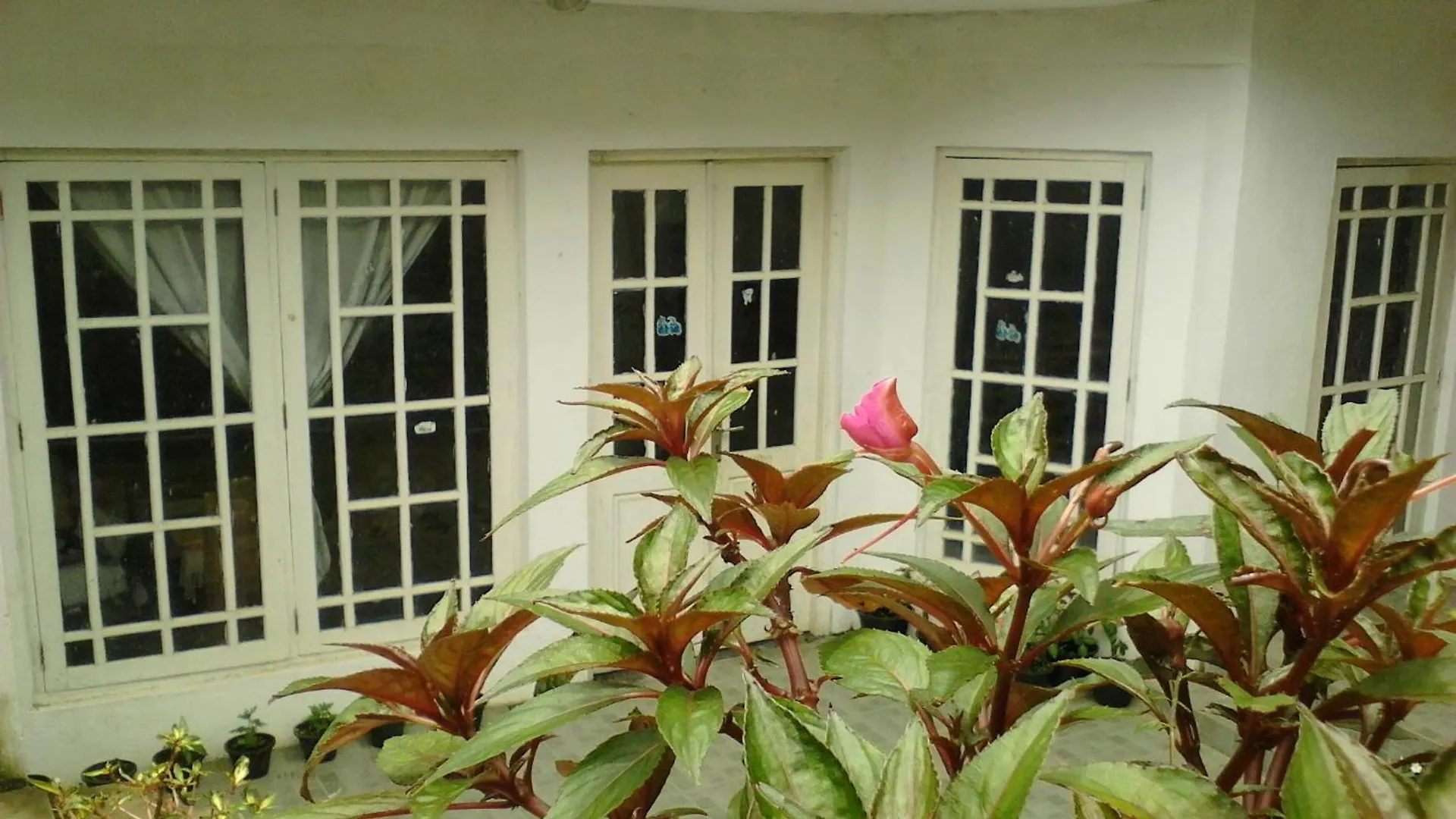 Guest house Niwasa House Hotel Hatton
